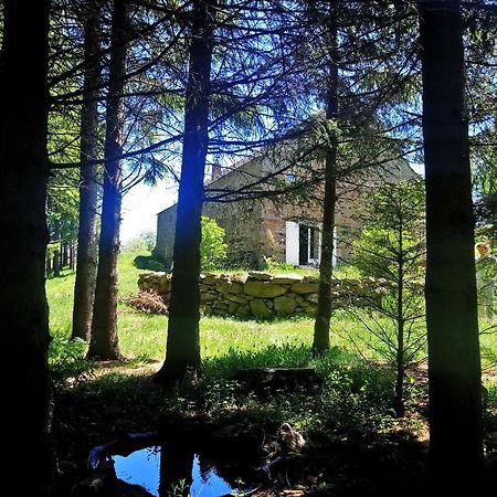 Chaudeyrolles La Ferme Du Crie B&B 외부 사진